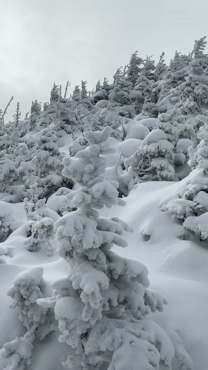 Galehead Mountain summit video poster