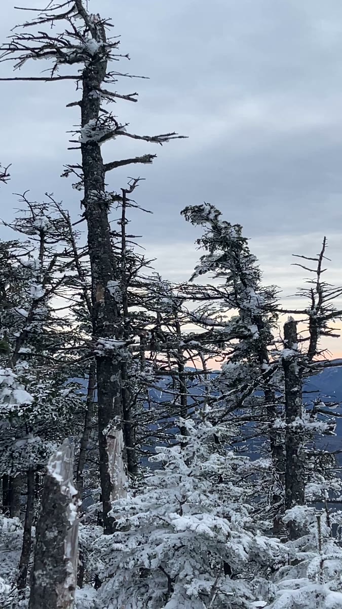 Mount Field summit video poster