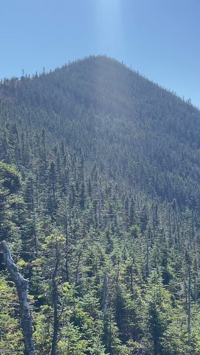 Mount Osceola - East Peak. summit video poster
