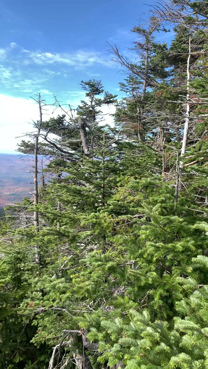 Mount Tecumseh summit video poster