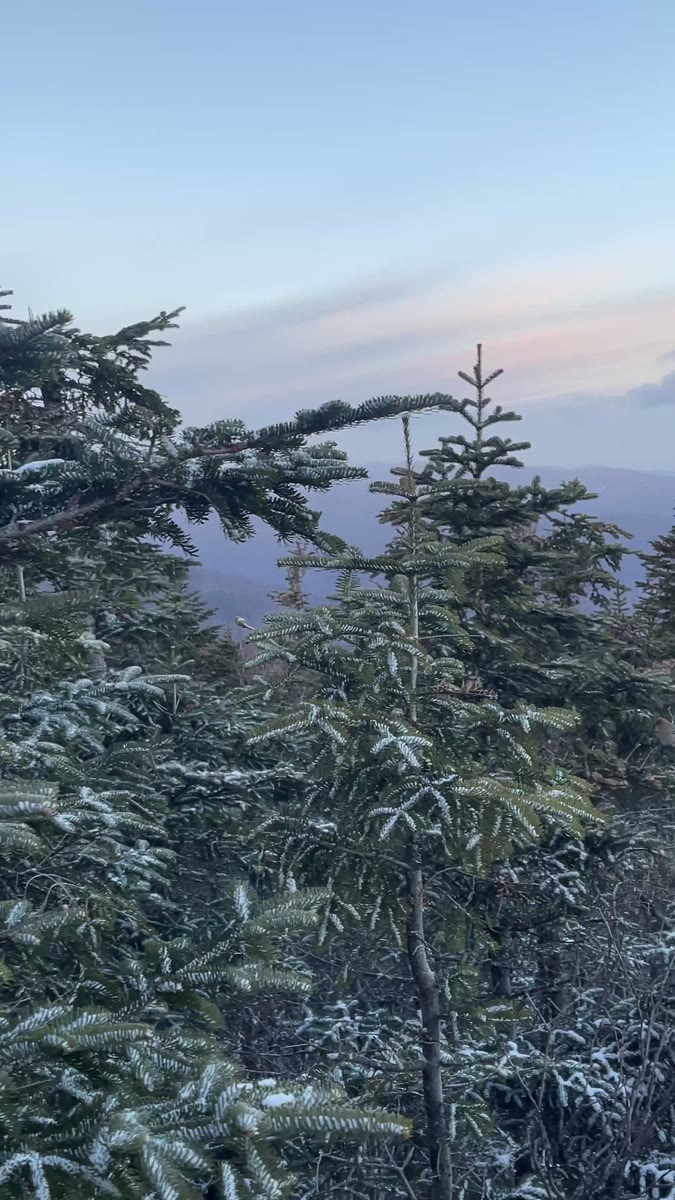 North Tripyramid summit video poster
